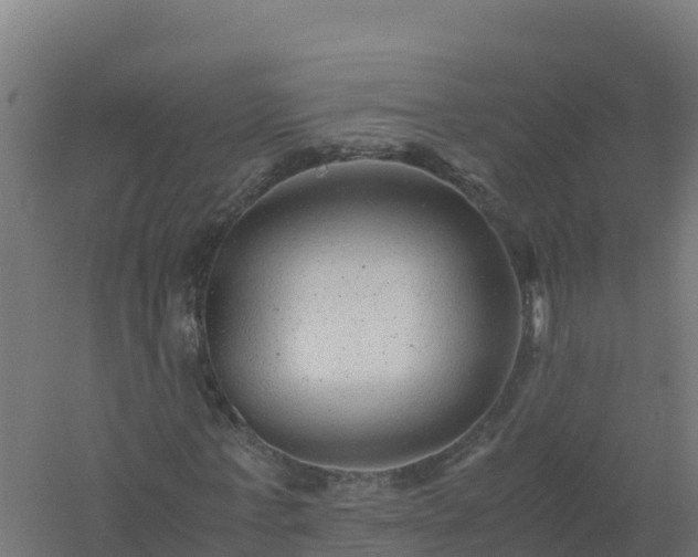 X0000061140771200511241803