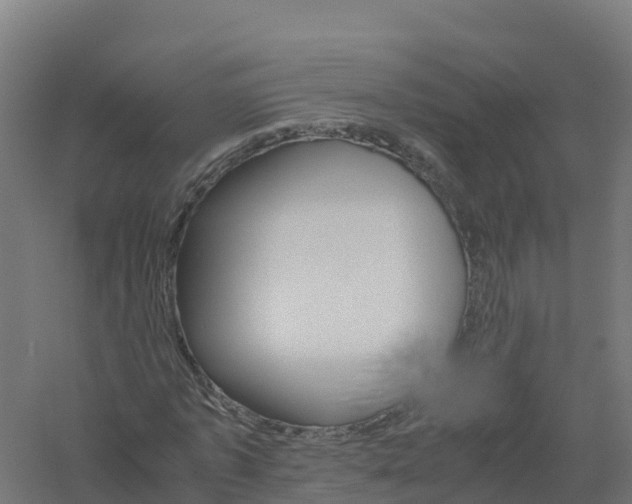 X0000061140773200511241803