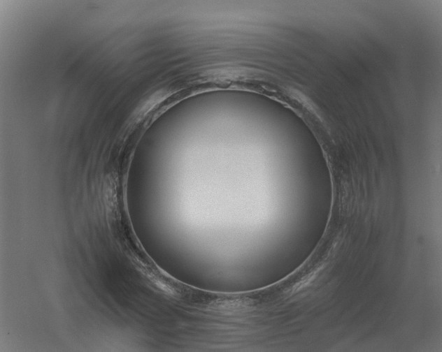 X0000061140778200511241803