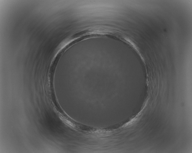 X0000061140779200511241803