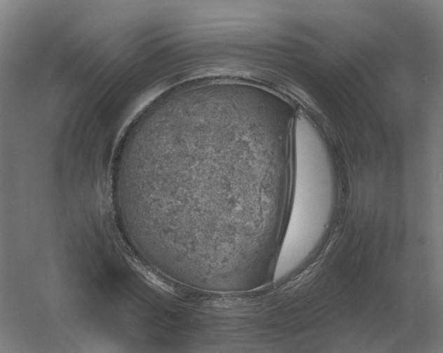 X0000061140780200511241802