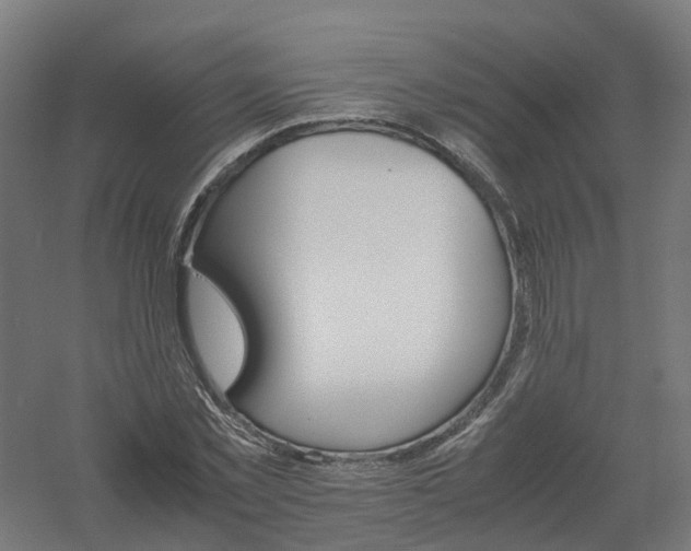 X0000061140781200511241802