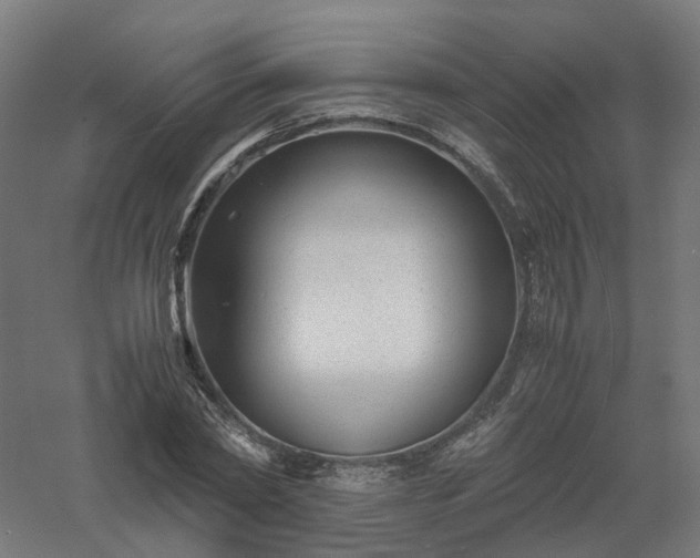 X0000061140782200511241802