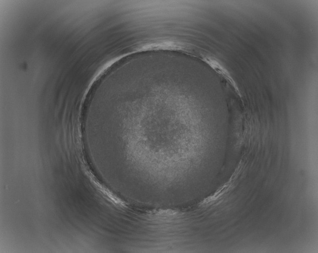 X0000061140784200511241802