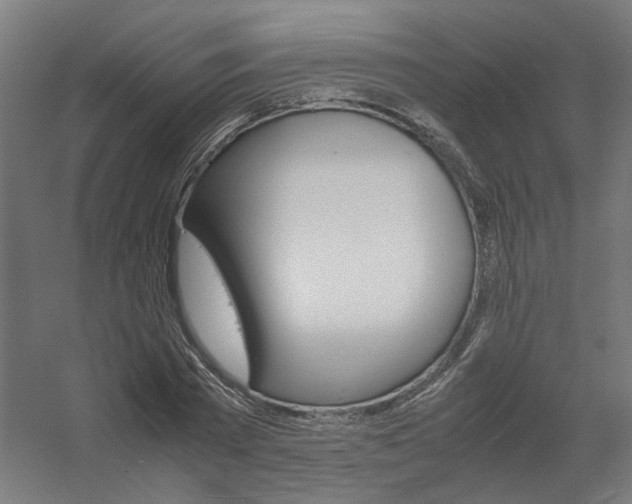 X0000061140785200511241802