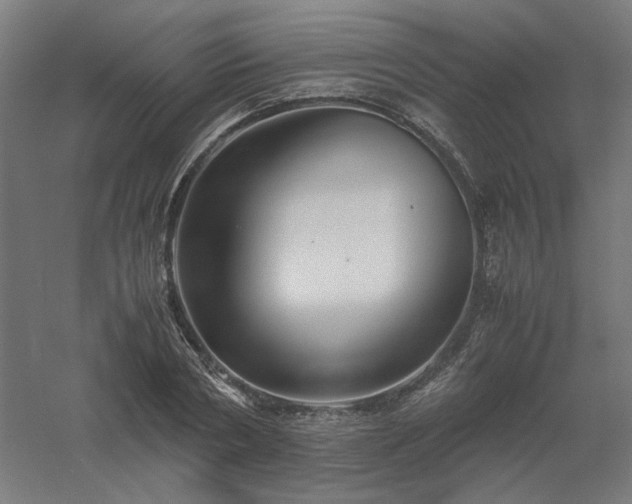 X0000061140786200511241802