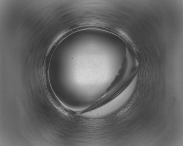 X0000061140788200511241802