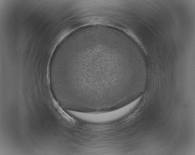 X0000061140791200511241802