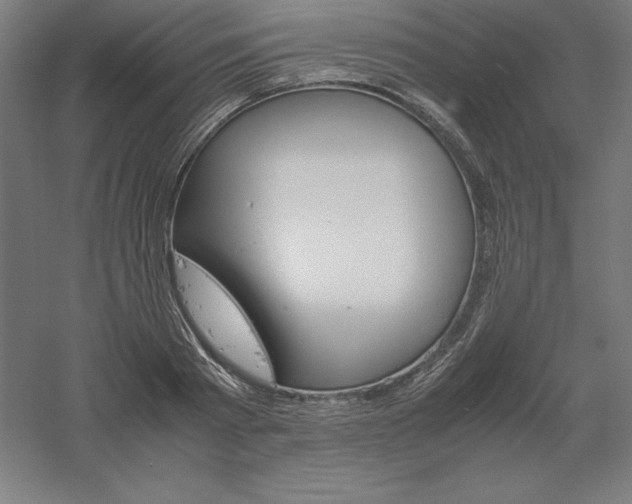 X0000061140793200511241802