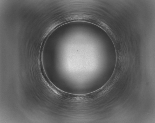 X0000061140794200511241802