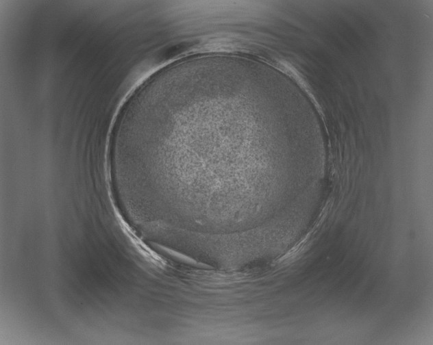 X0000061140795200511241802