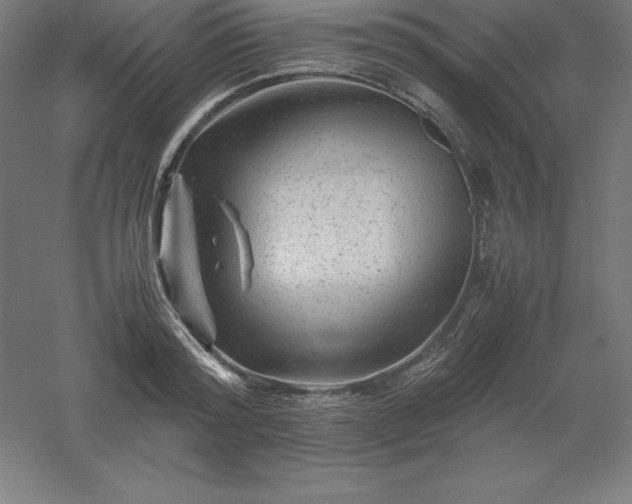 X0000061140796200511241802