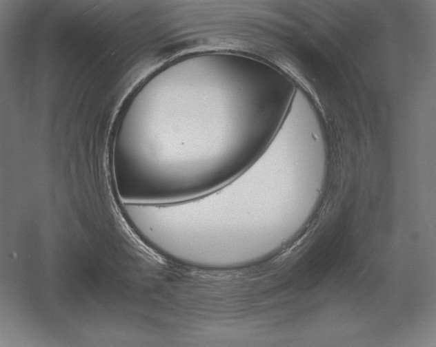 X0000061140797200511241802