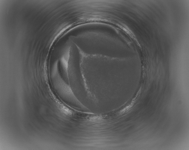 X0000061140798200511241802