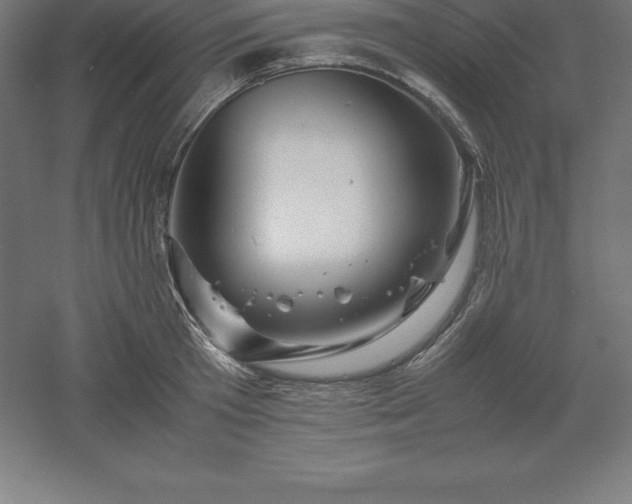 X0000061140801200511241802