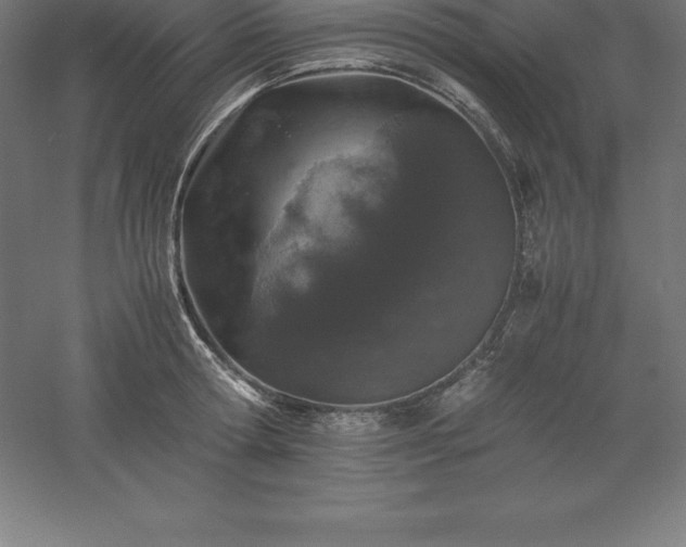 X0000061140802200511241802