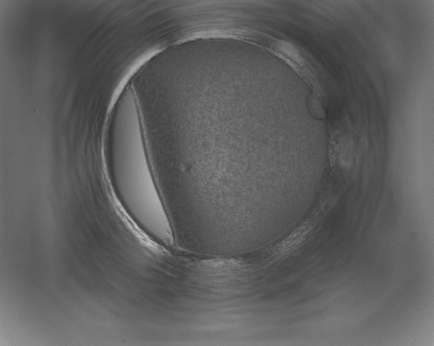 X0000061140804200511241802