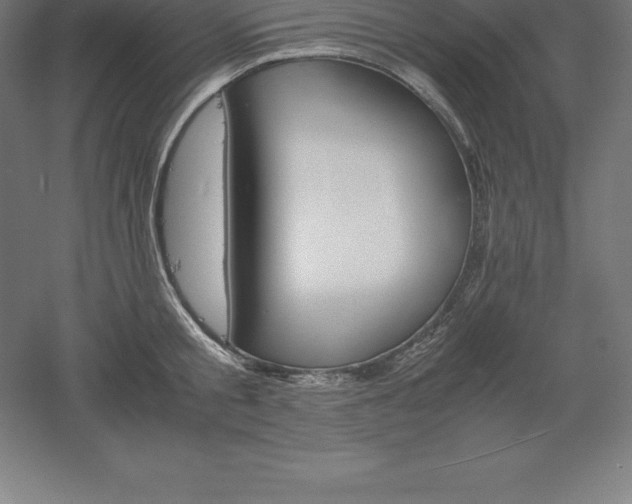 X0000061140805200511241802