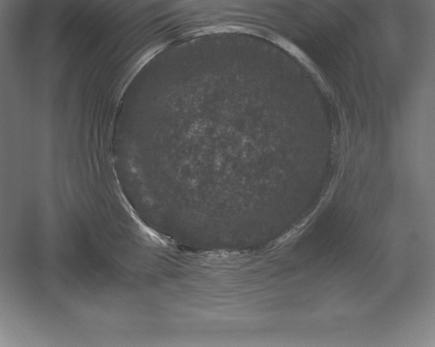 X0000061140809200511241802