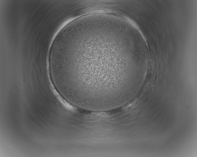 X0000061140811200511241802