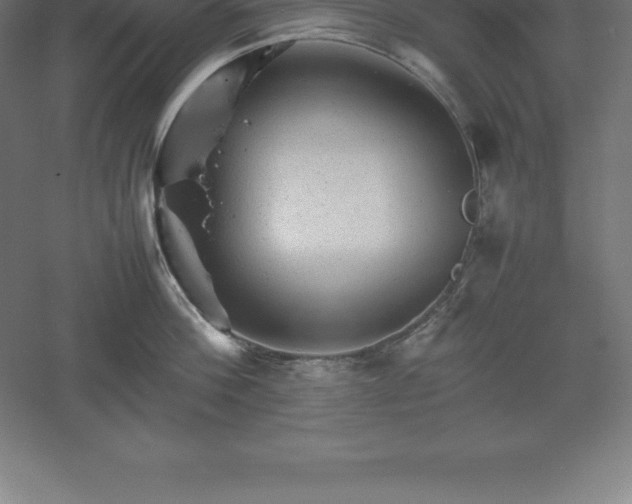 X0000061140812200511241802