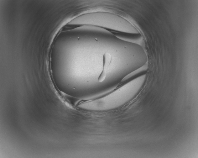 X0000061140813200511241802