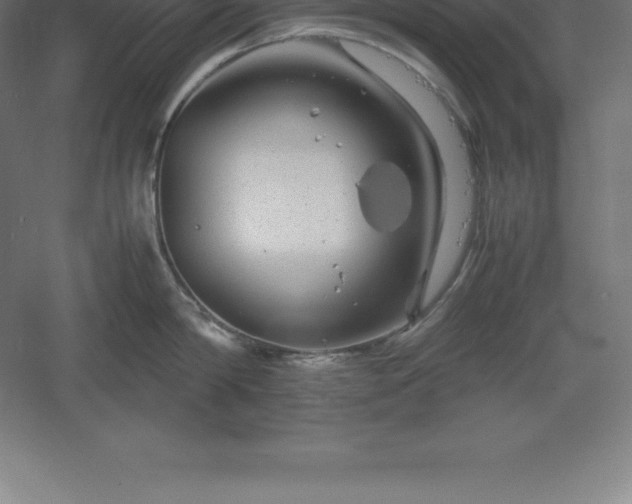 X0000061140814200511241802