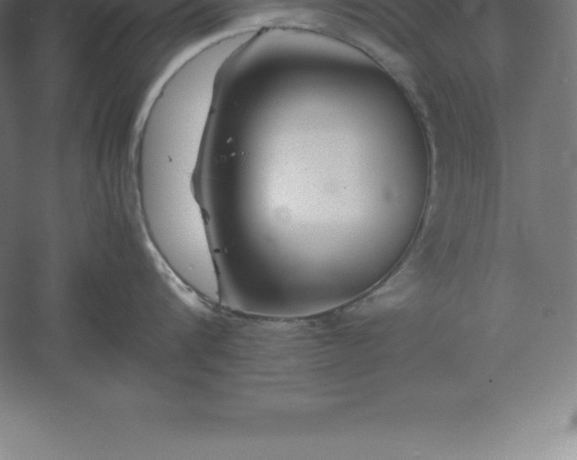 X0000061140816200511241802