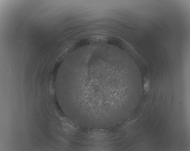 X0000061140819200511241801