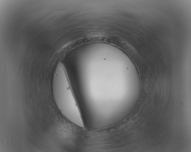 X0000061140821200511241801