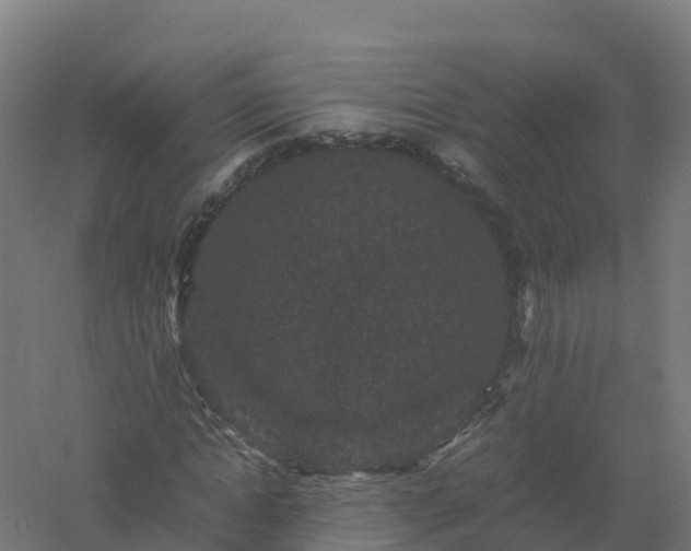 X0000061140822200511241801