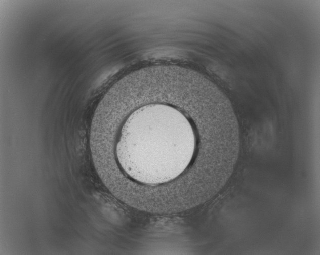 X0000061140824200511241801