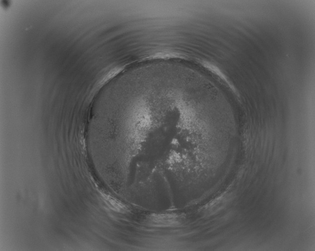 X0000061140825200511241801