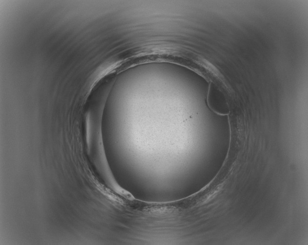 X0000061140826200511241801