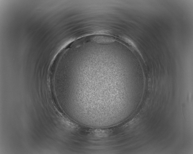 X0000061140827200511241801