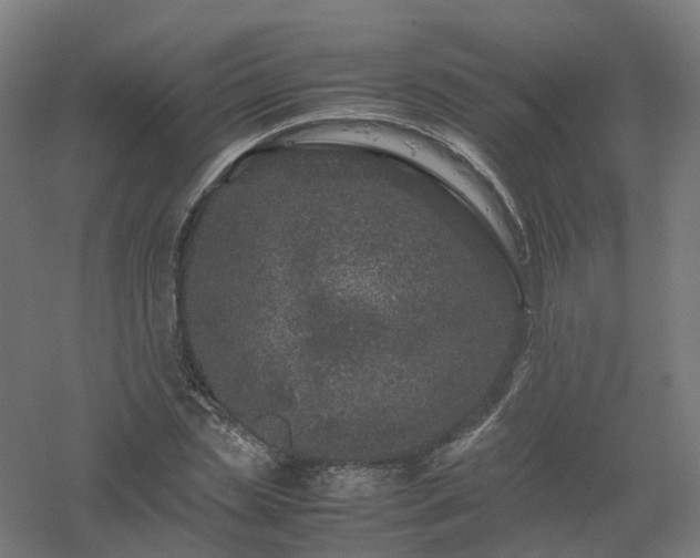 X0000061140829200511241801