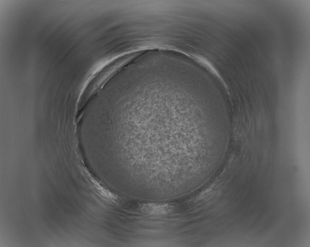 X0000061140831200511241801