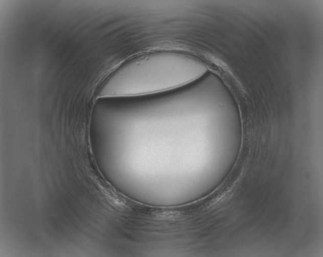 X0000061140833200511241801