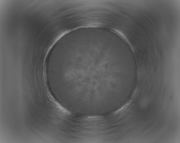 X0000061140835200511241801