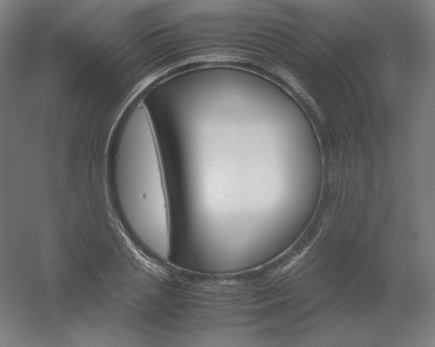 X0000061140837200511241801