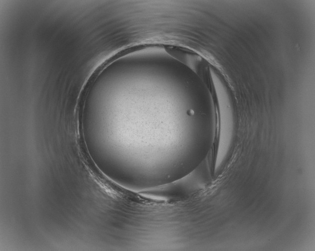 X0000061140838200511241801