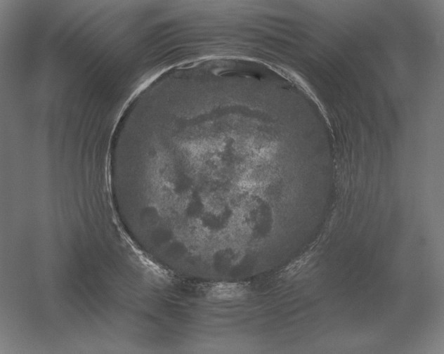 X0000061140839200511241801