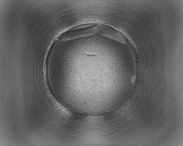 X0000061140840200511241801