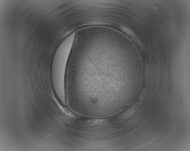 X0000061140841200511241801