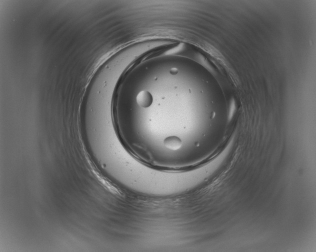 X0000061140842200511241801