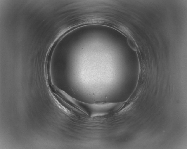 X0000061140843200511241801