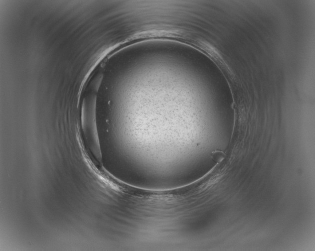 X0000061140844200511241802