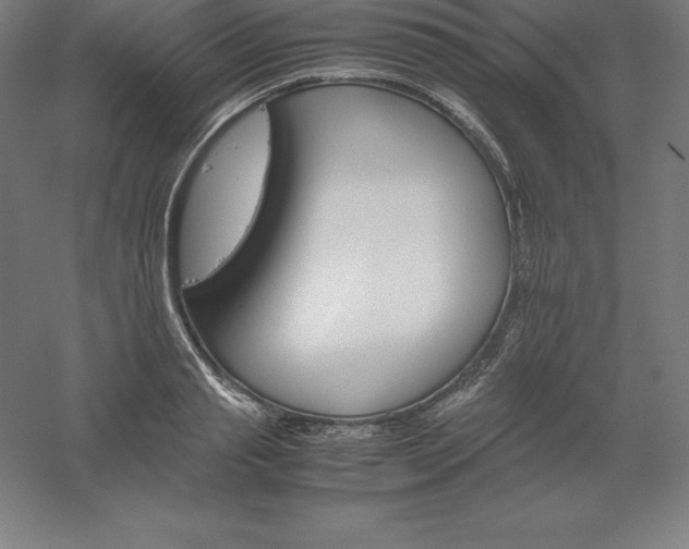 X0000061140845200511241802