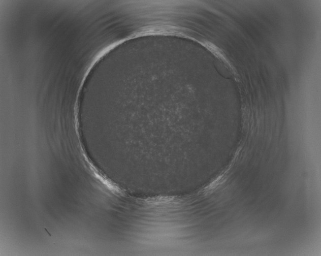 X0000061140846200511241802