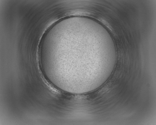 X0000061140848200511241802